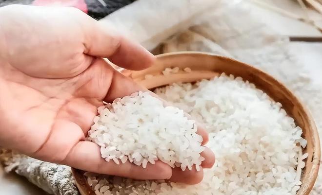 斤米飙至4335日元中国陈米成救命稻草pg电子模拟器一碗米饭难倒日本人!5公(图7) 斤米飙至4335日元中国陈米成救命稻草pg电子模拟器一碗米饭难倒日本人!5公(图7)