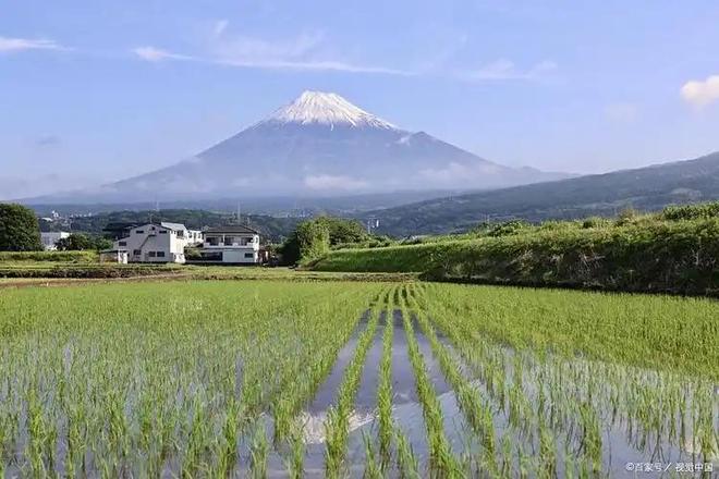 斤米飙至4335日元中国陈米成救命稻草pg电子模拟器一碗米饭难倒日本人!5公(图12) 斤米飙至4335日元中国陈米成救命稻草pg电子模拟器一碗米饭难倒日本人!5公(图12)