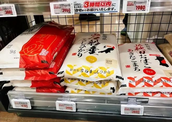 斤米飙至4335日元中国陈米成救命稻草pg电子模拟器一碗米饭难倒日本人!5公(图16) 斤米飙至4335日元中国陈米成救命稻草pg电子模拟器一碗米饭难倒日本人!5公(图16)