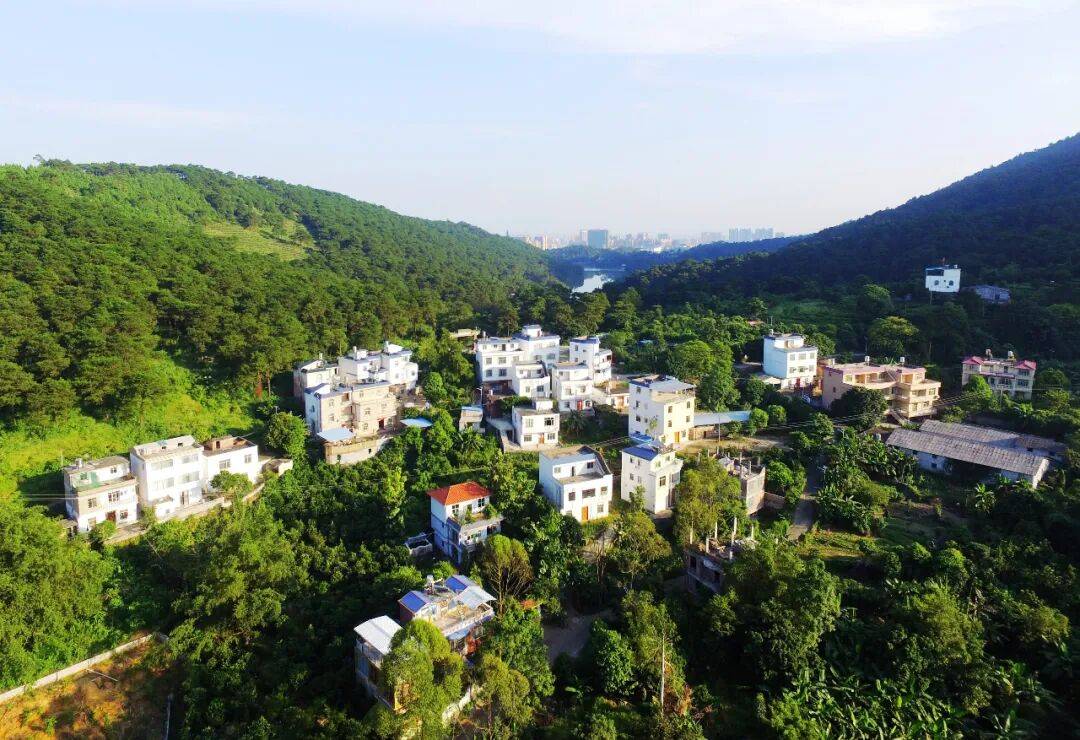 市各地深化农村移风易俗成效显著电子pg文明乡风美浔郁——我(图4)